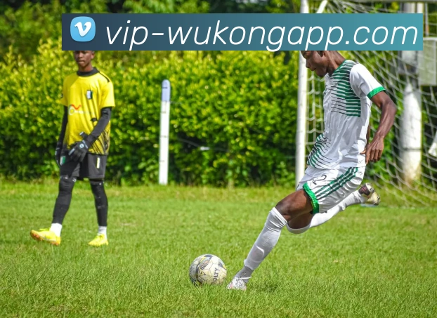 悟空体育app全站App